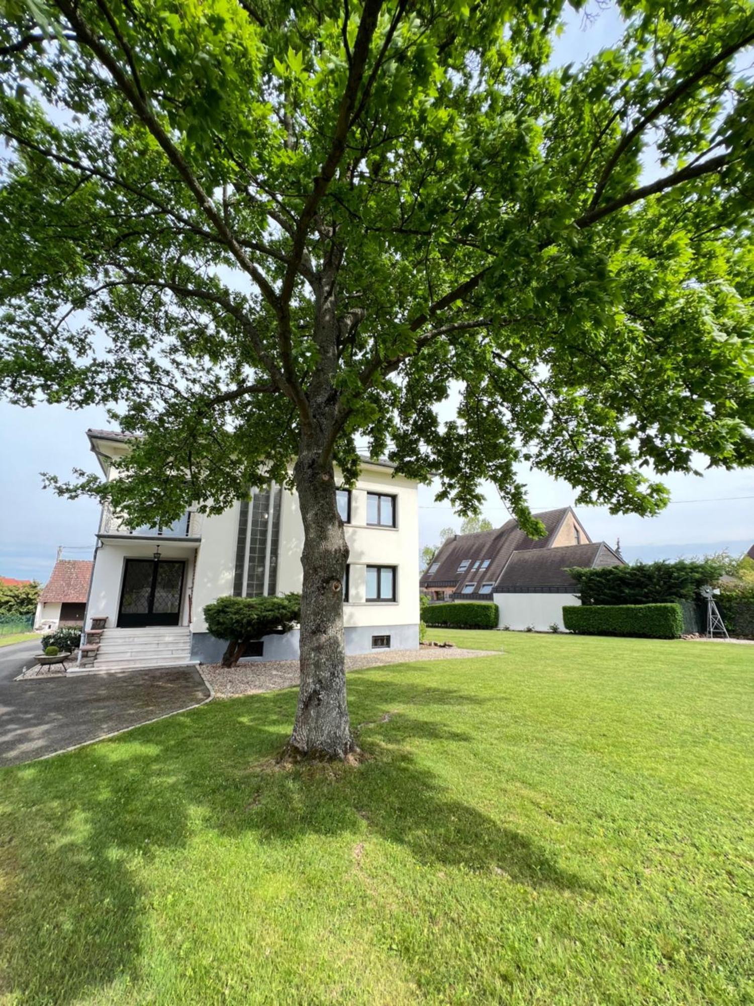 Bonne Idee - Suite Georges - Meuble De Tourisme 4 Etoiles Châtenois Eksteriør billede
